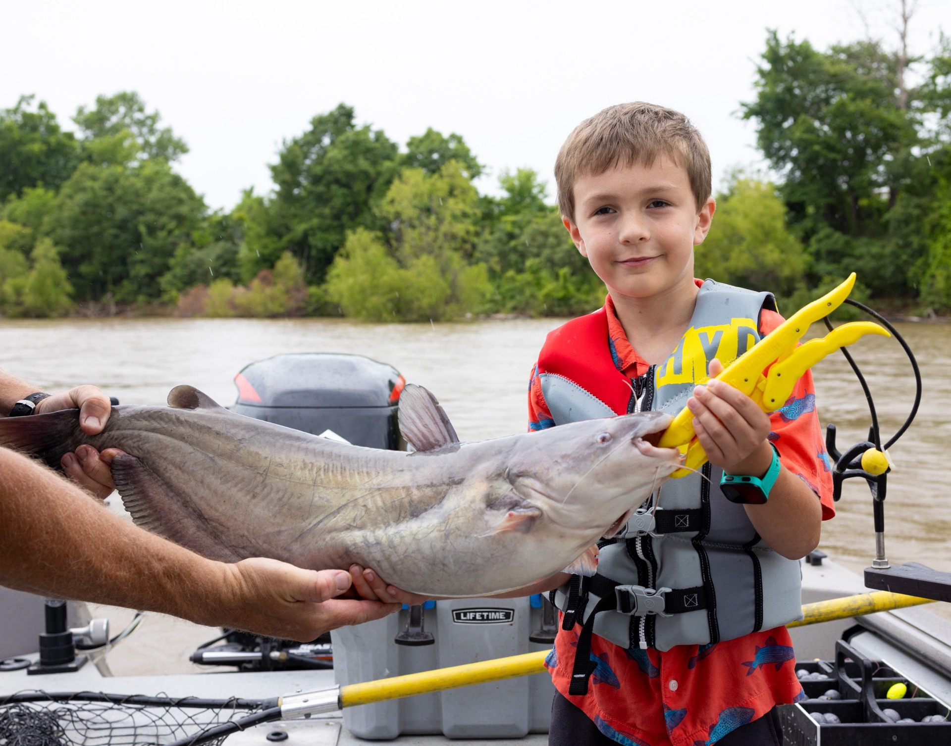 Blue Catfish