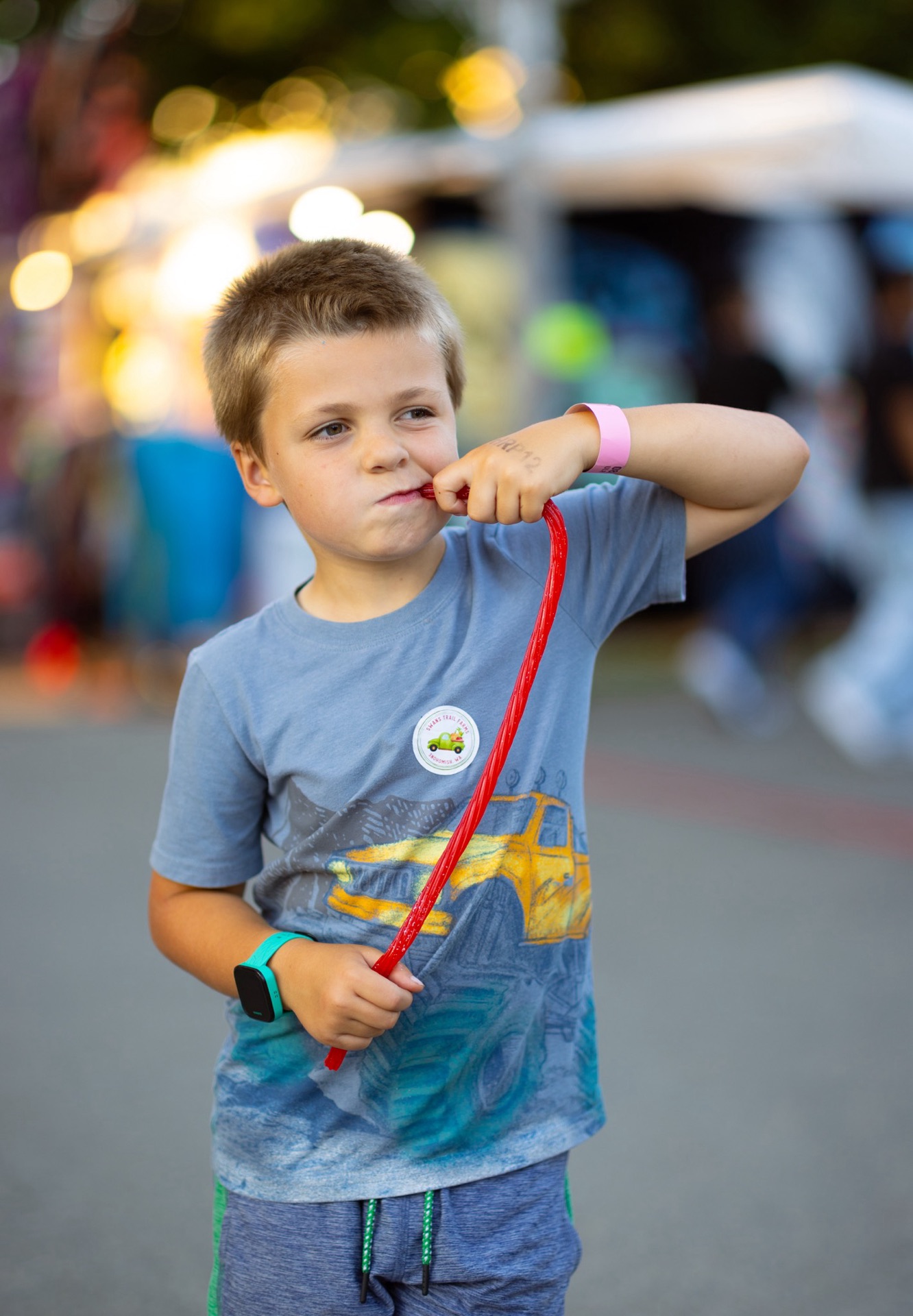 Evergreen State Fair