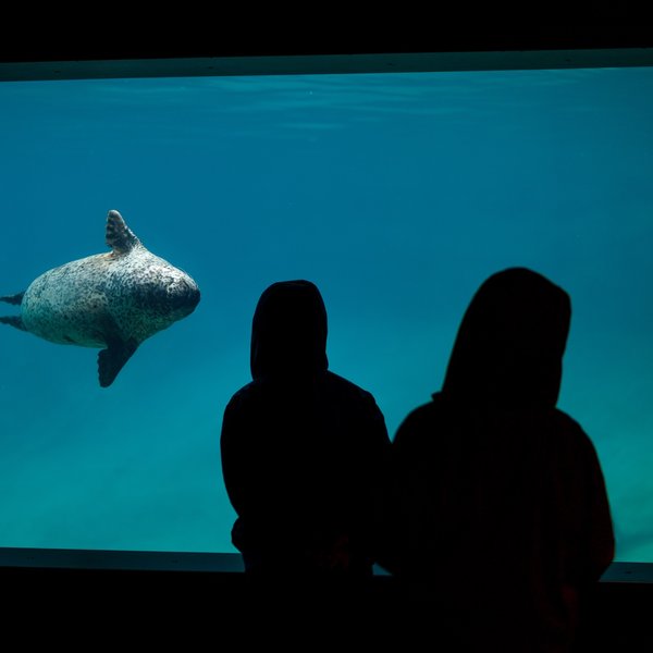 Point Defiance Zoo