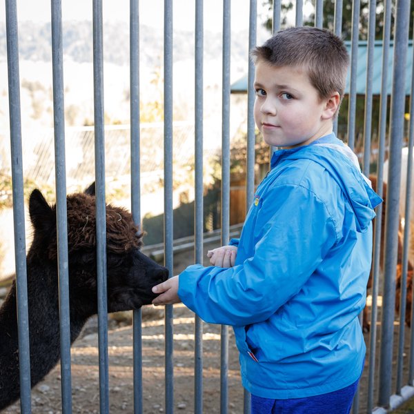 Cougar Mountain Zoo
