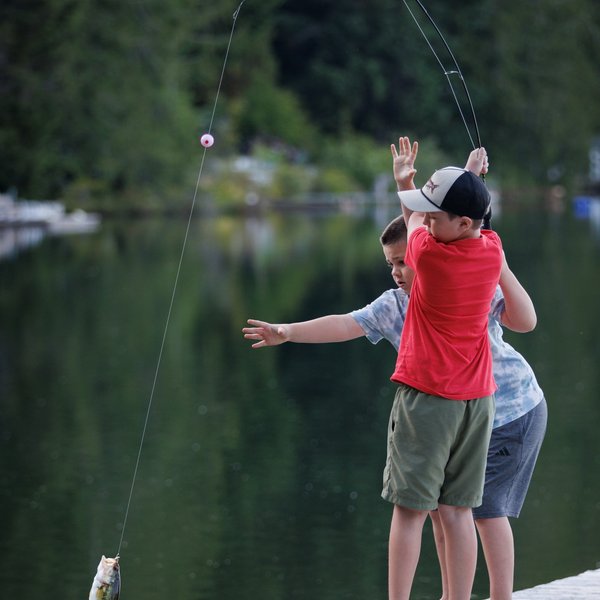 Largemouth Bass