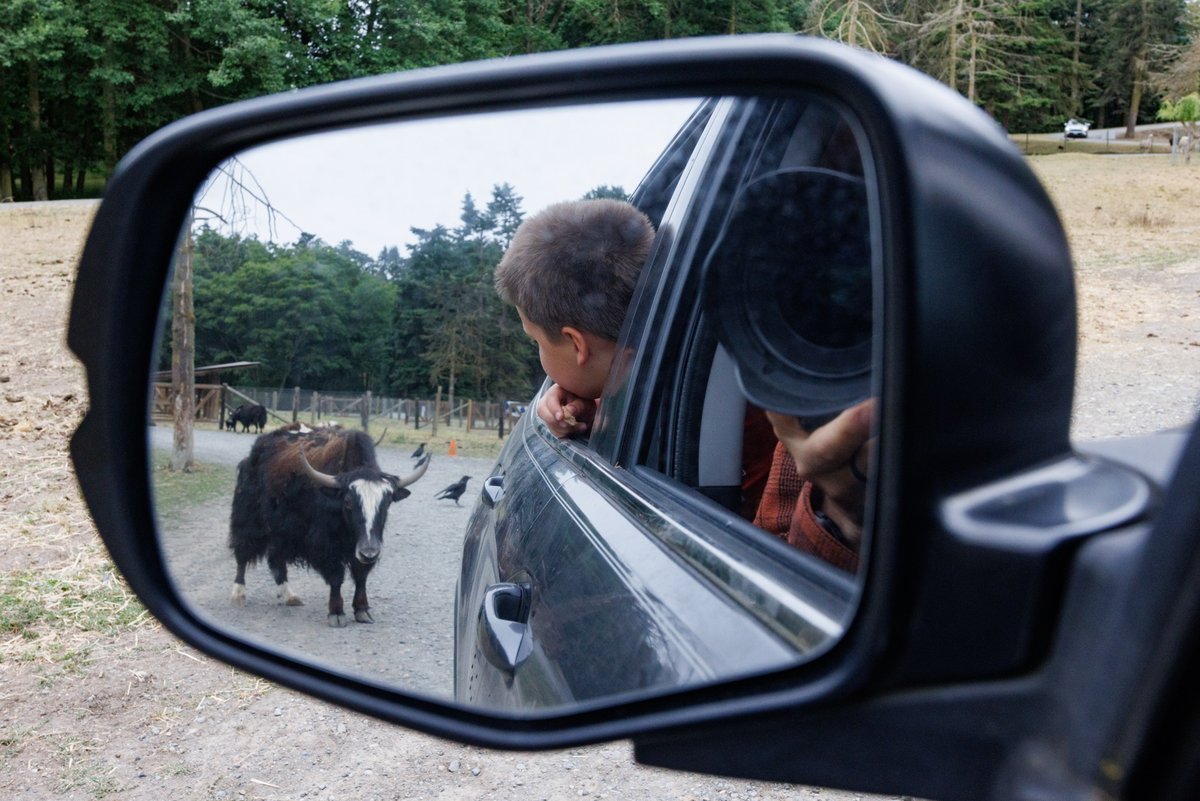 Olympic Game Farm