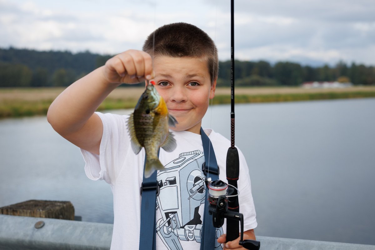 Bluegill